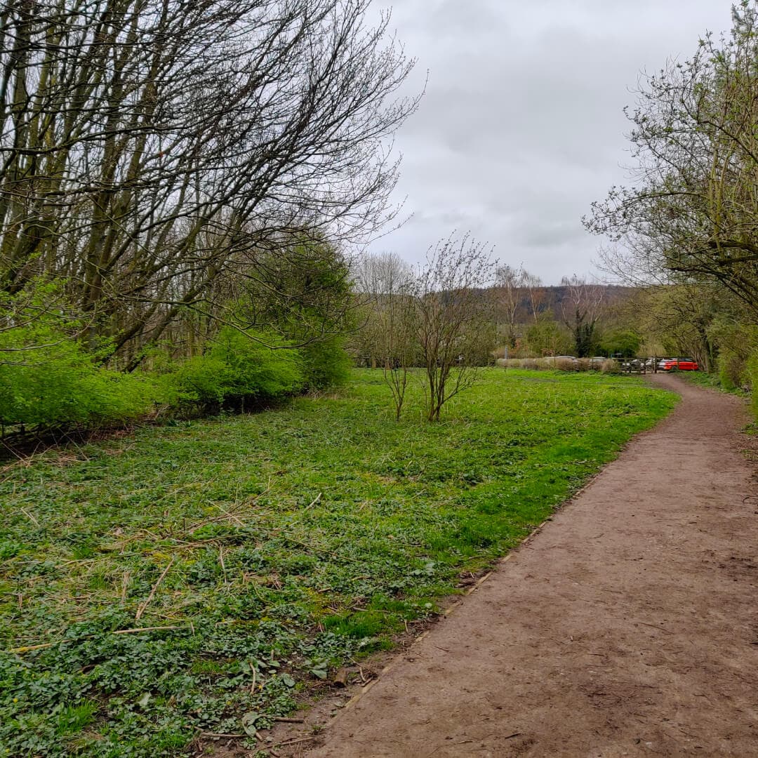 Gallows Hill Nature Reserve