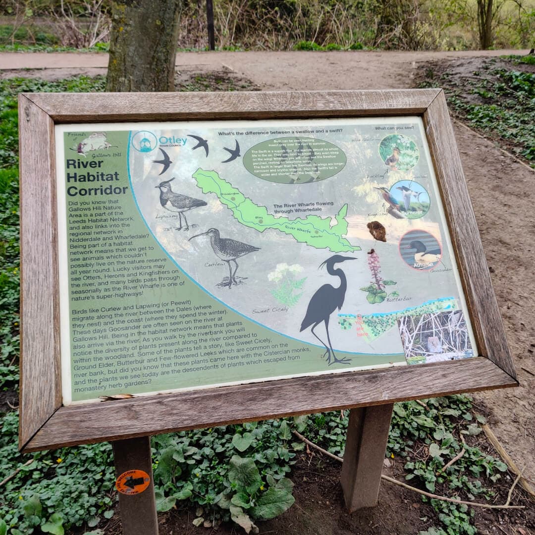 Gallows Hill Nature Reserve