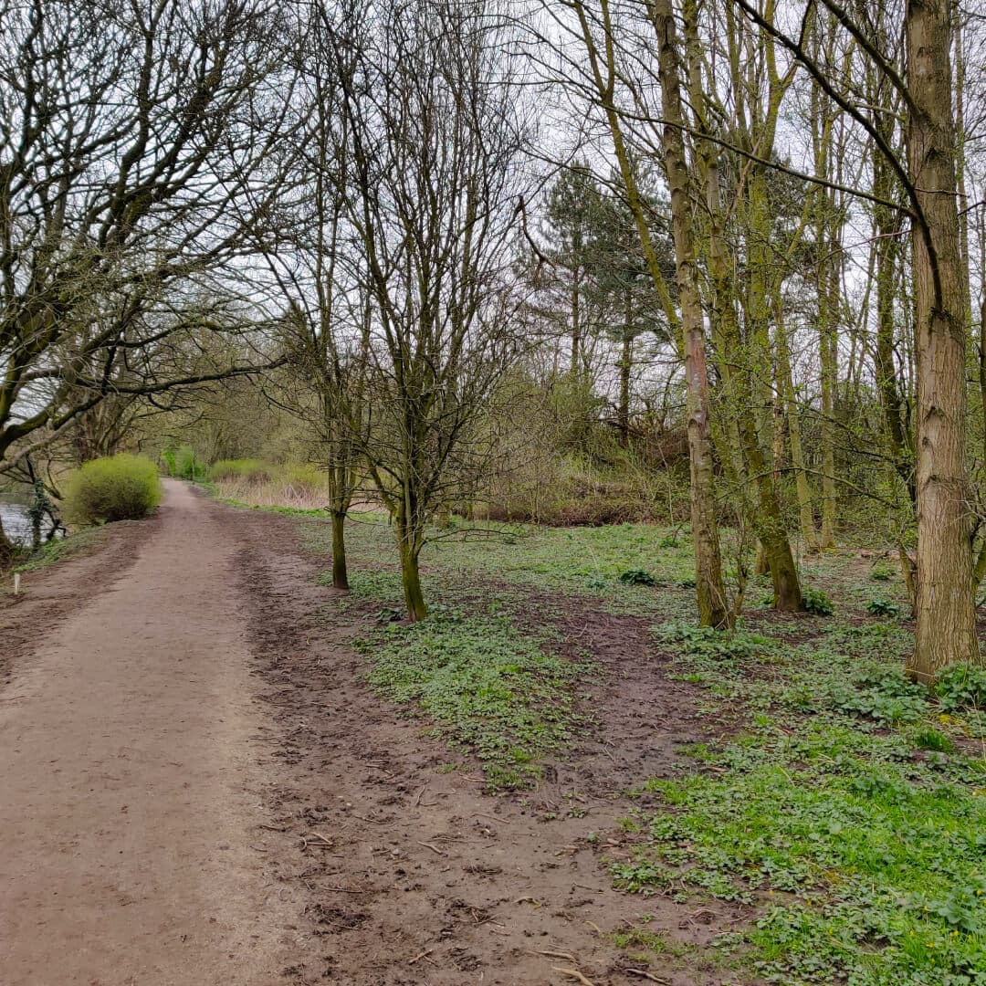 Gallows Hill Nature Reserve