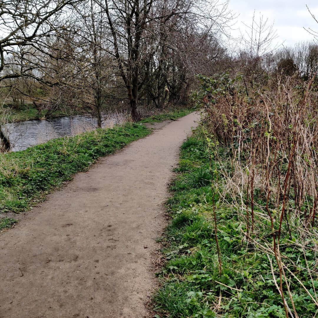 Gallows Hill Nature Reserve