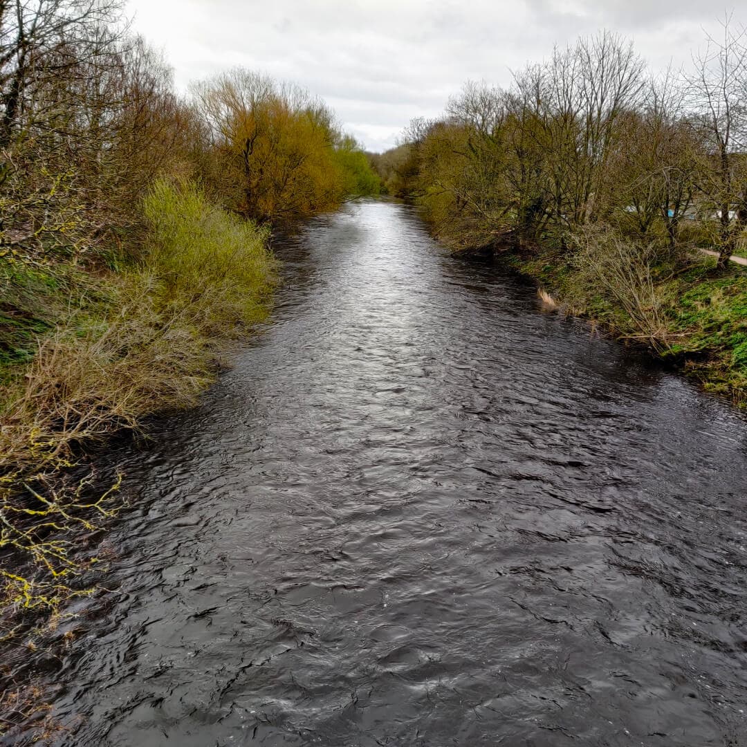 Gallows Hill Nature Reserve River Wharfe