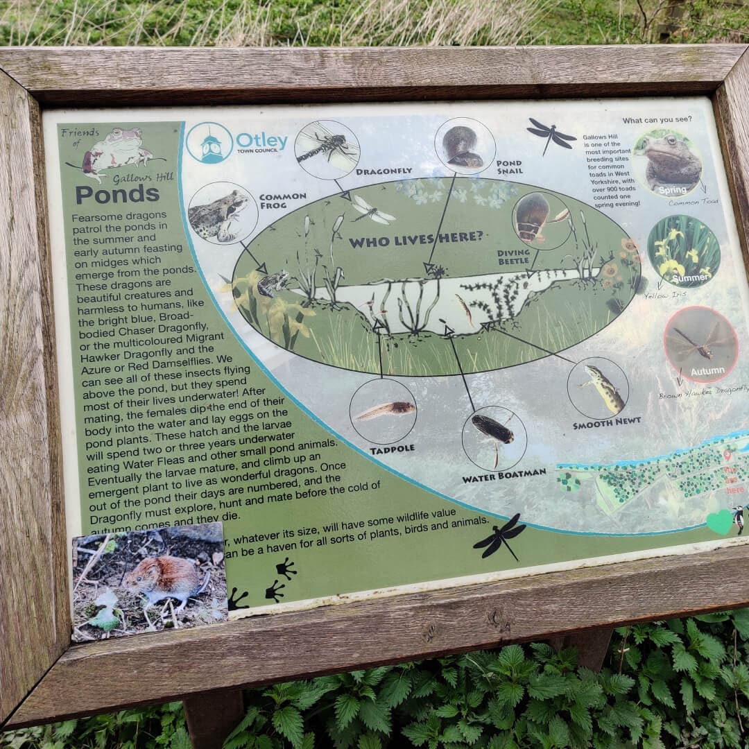 Gallows Hill Nature Reserve