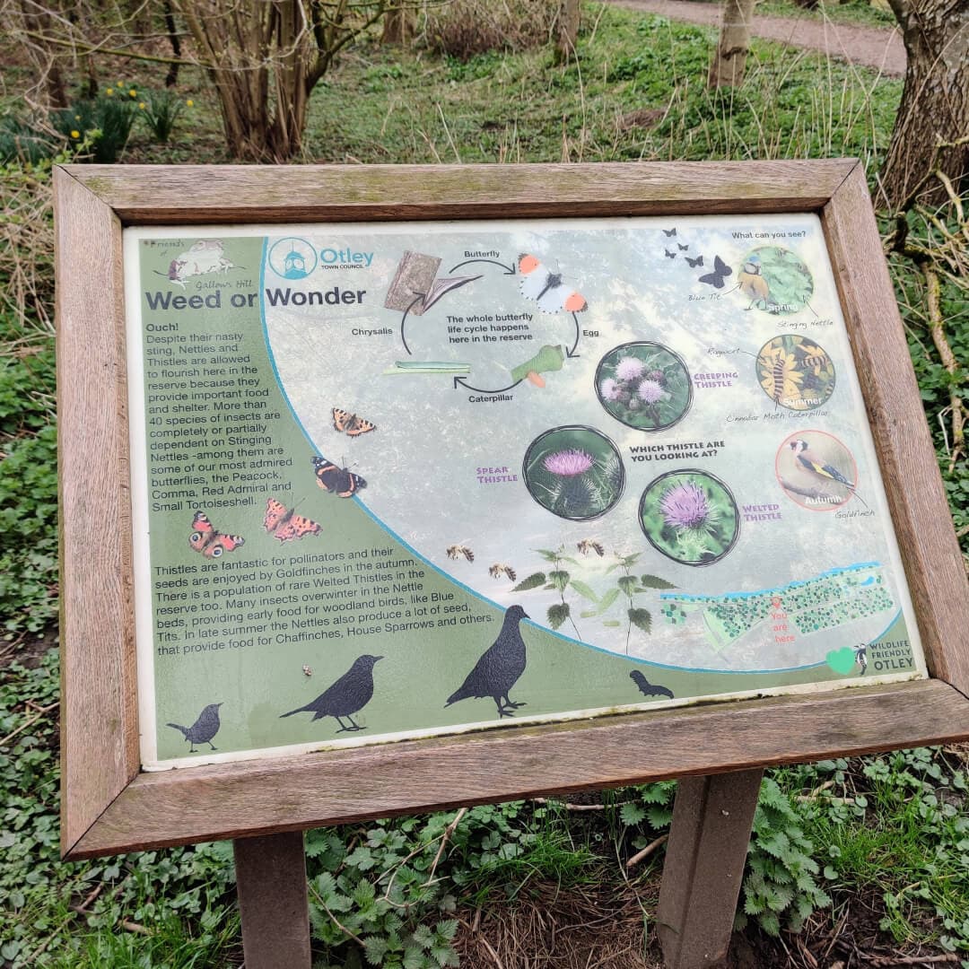 Gallows Hill Nature Reserve