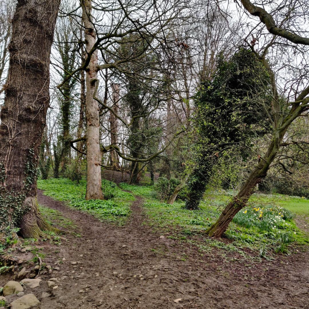 Gallows Hill Nature Reserve