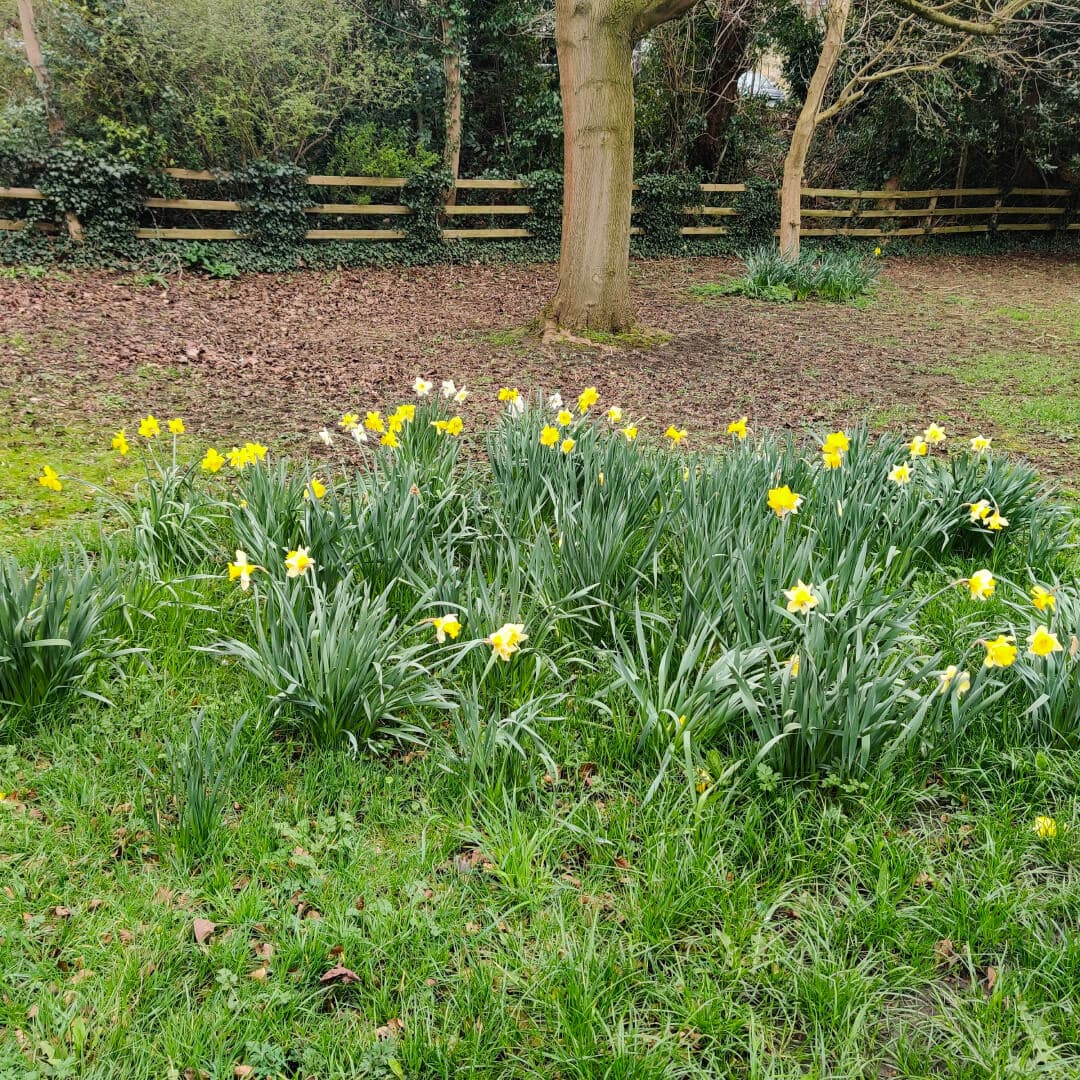 Manor Garth Park otley