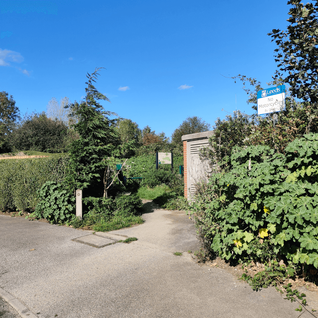 Cabbage Hill