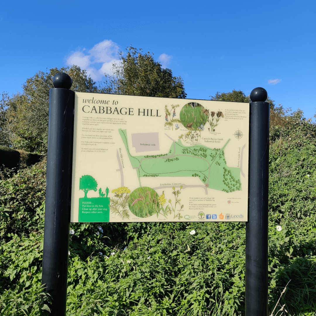 Cabbage Hill