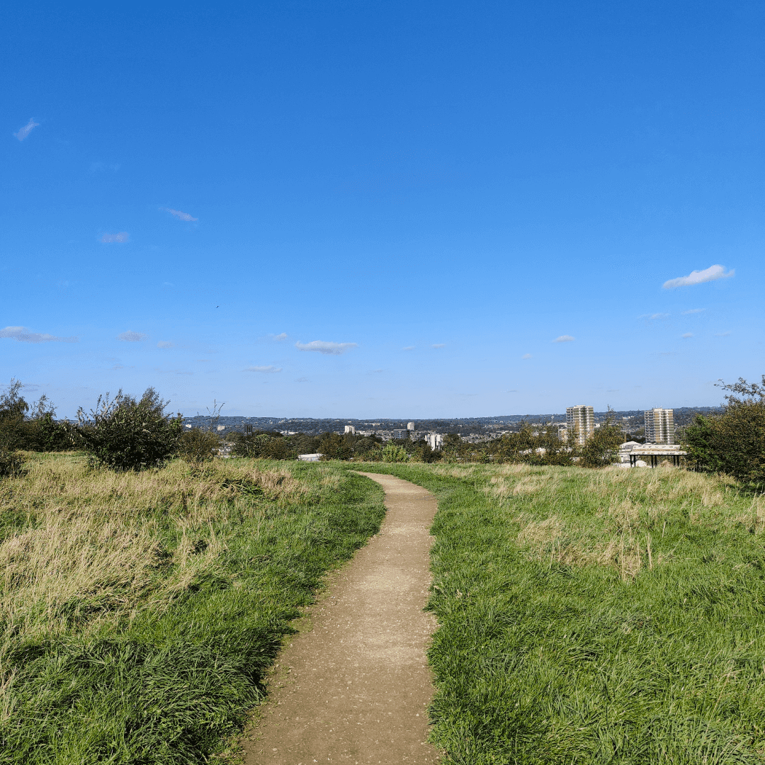 Cabbage Hill