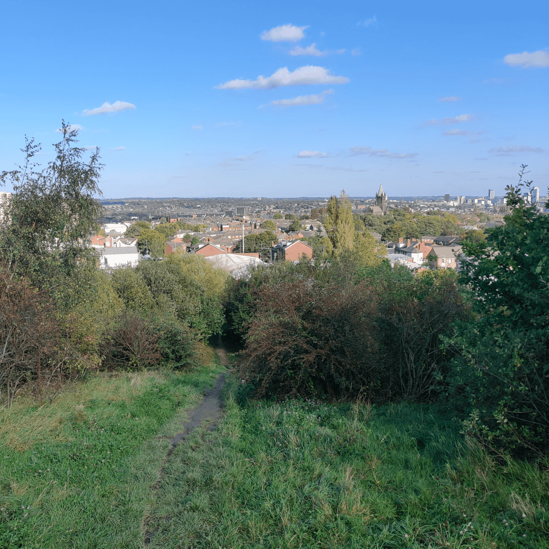 Cabbage Hill
