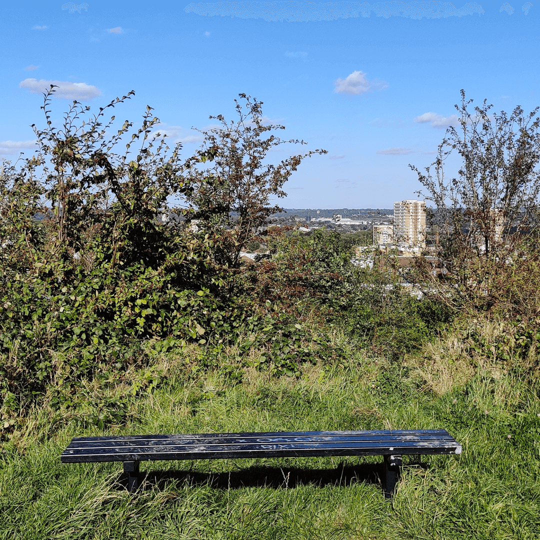 Cabbage Hill