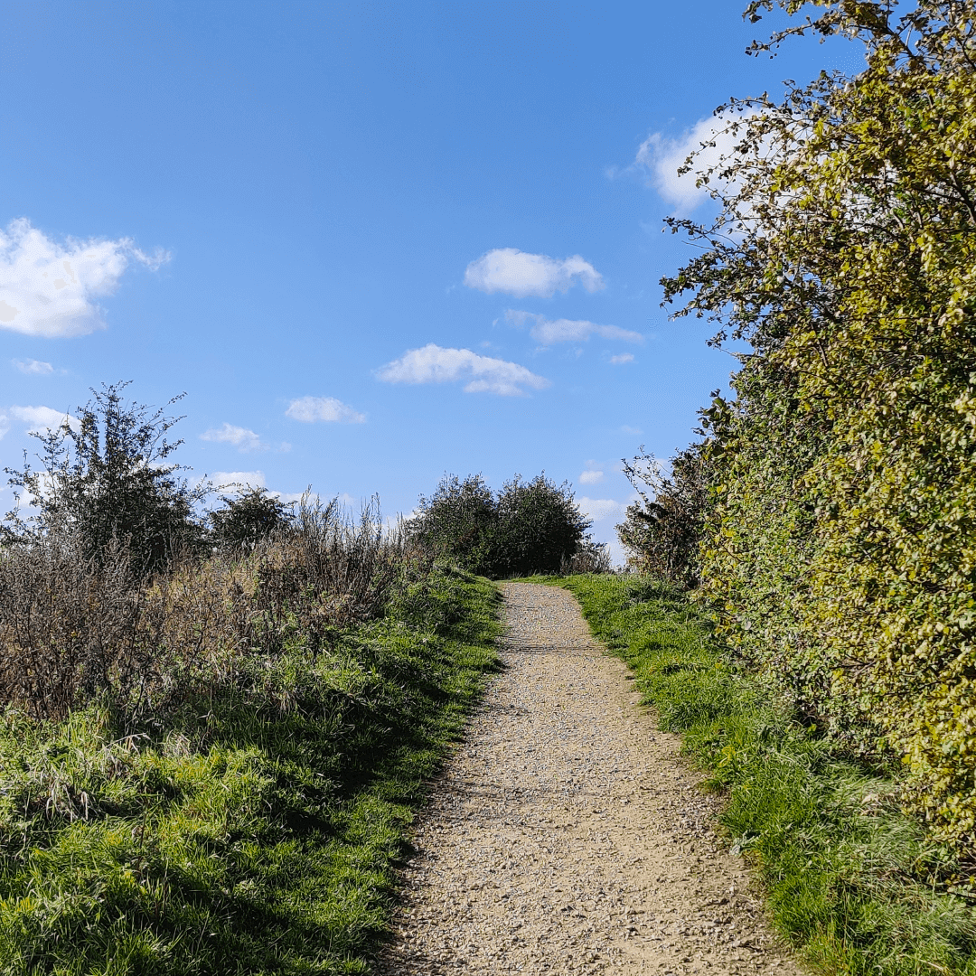 Cabbage Hill