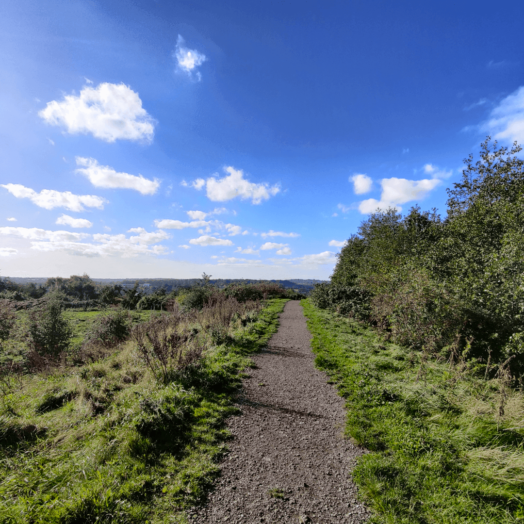 Cabbage Hill