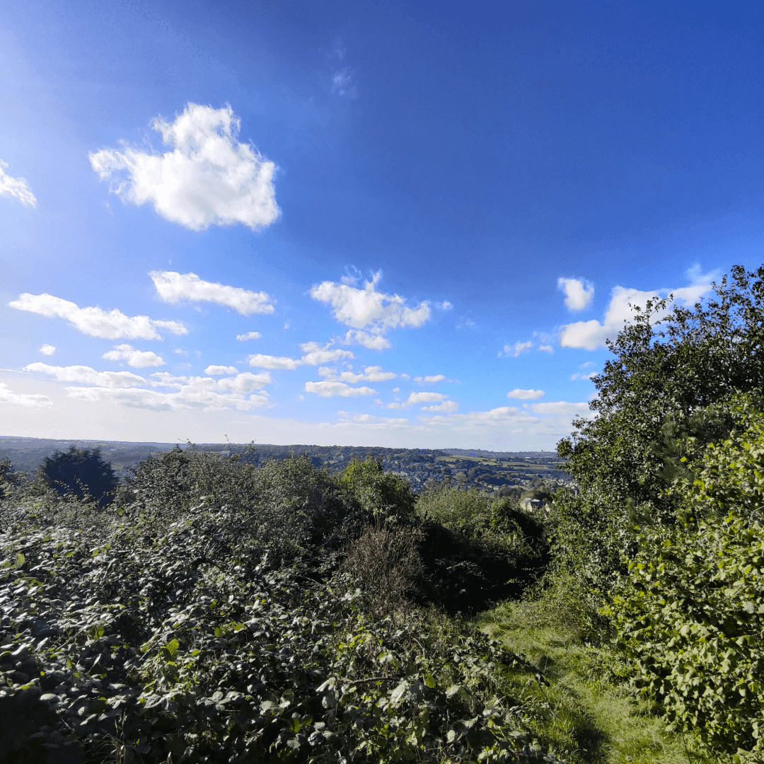 Cabbage Hill