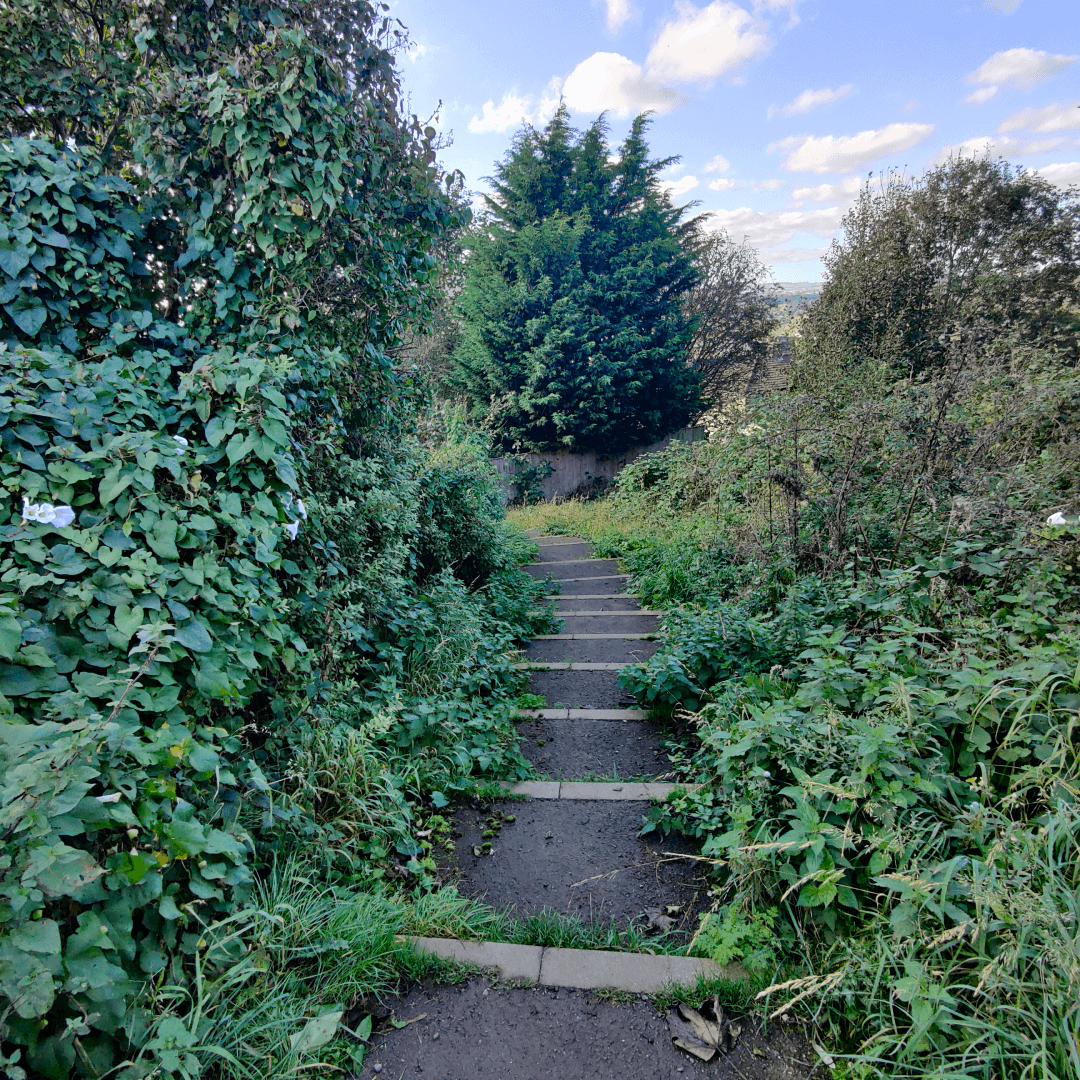Cabbage Hill