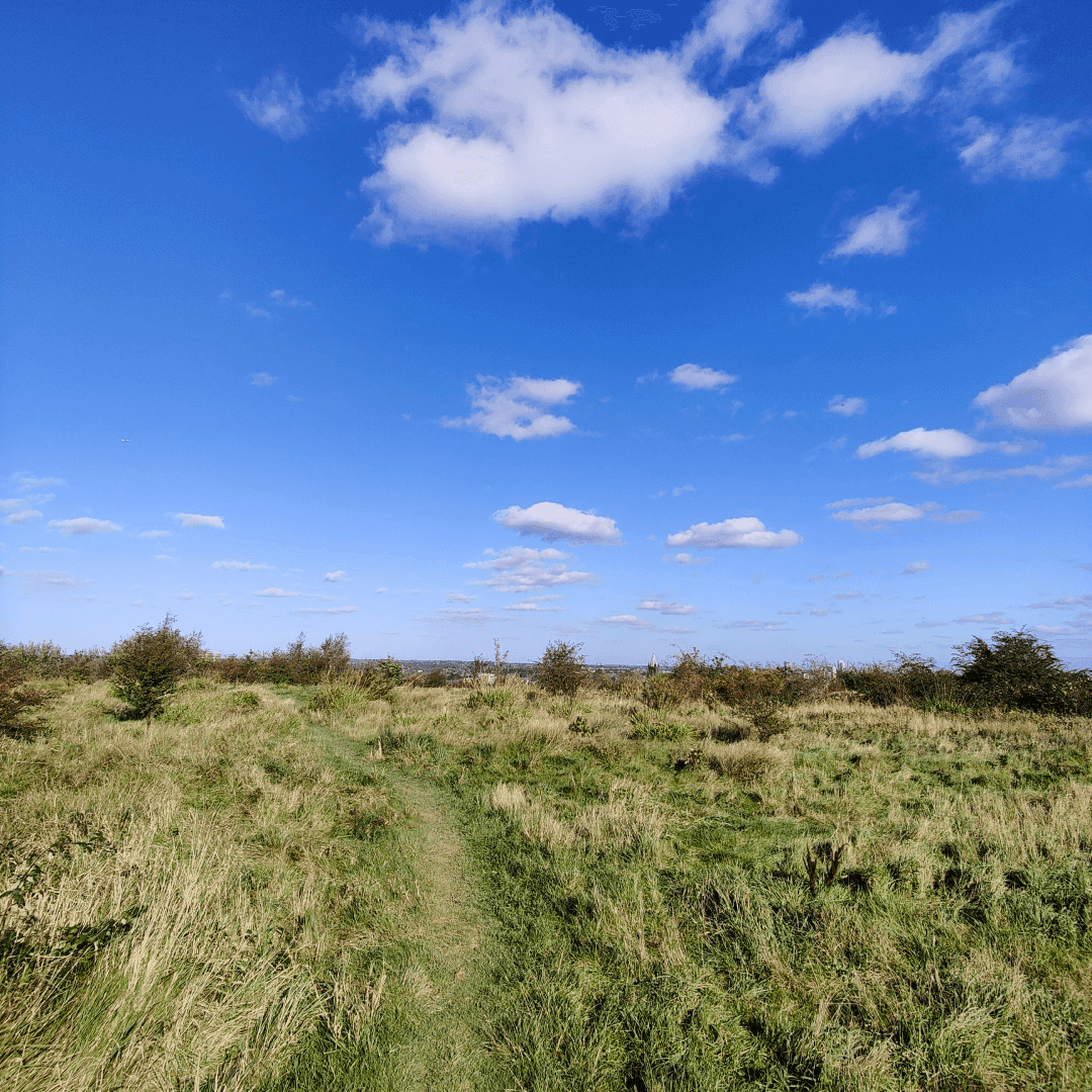 Cabbage Hill