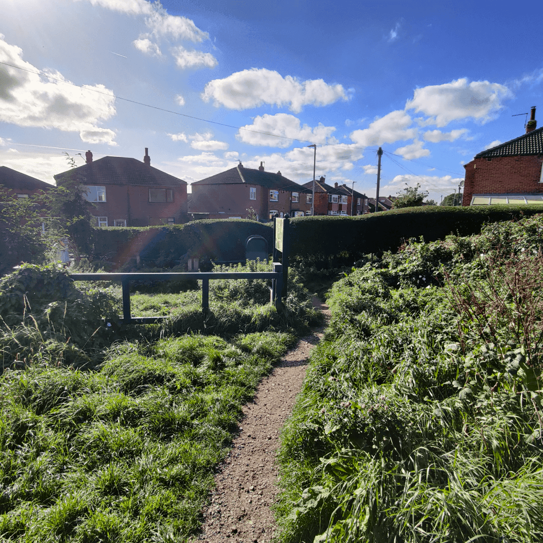 Cabbage Hill