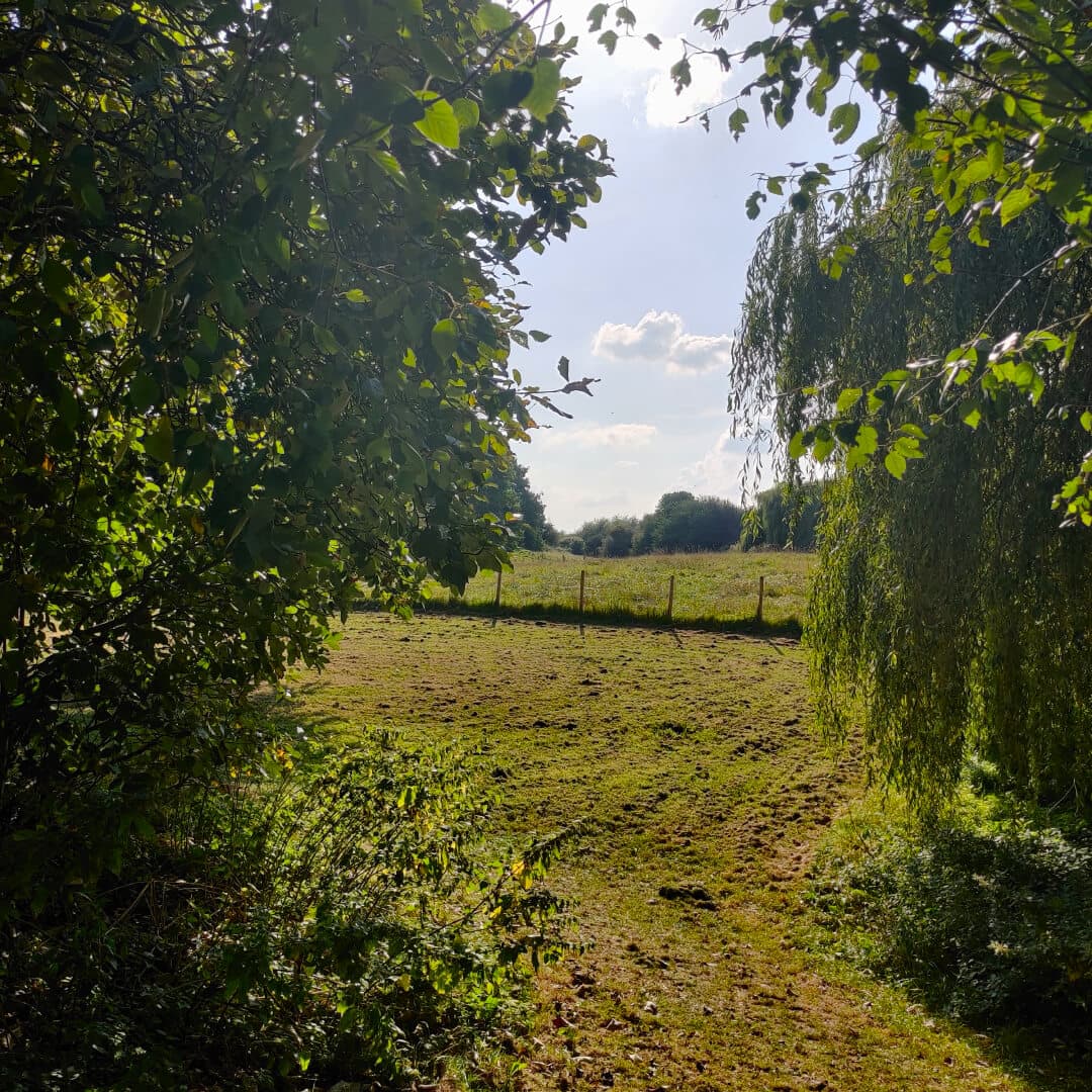 Rothwell Pastures