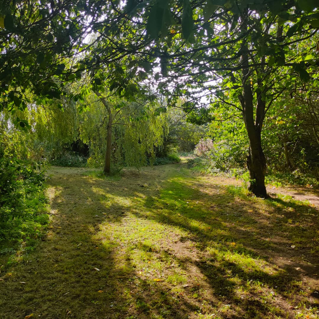 Rothwell Pastures