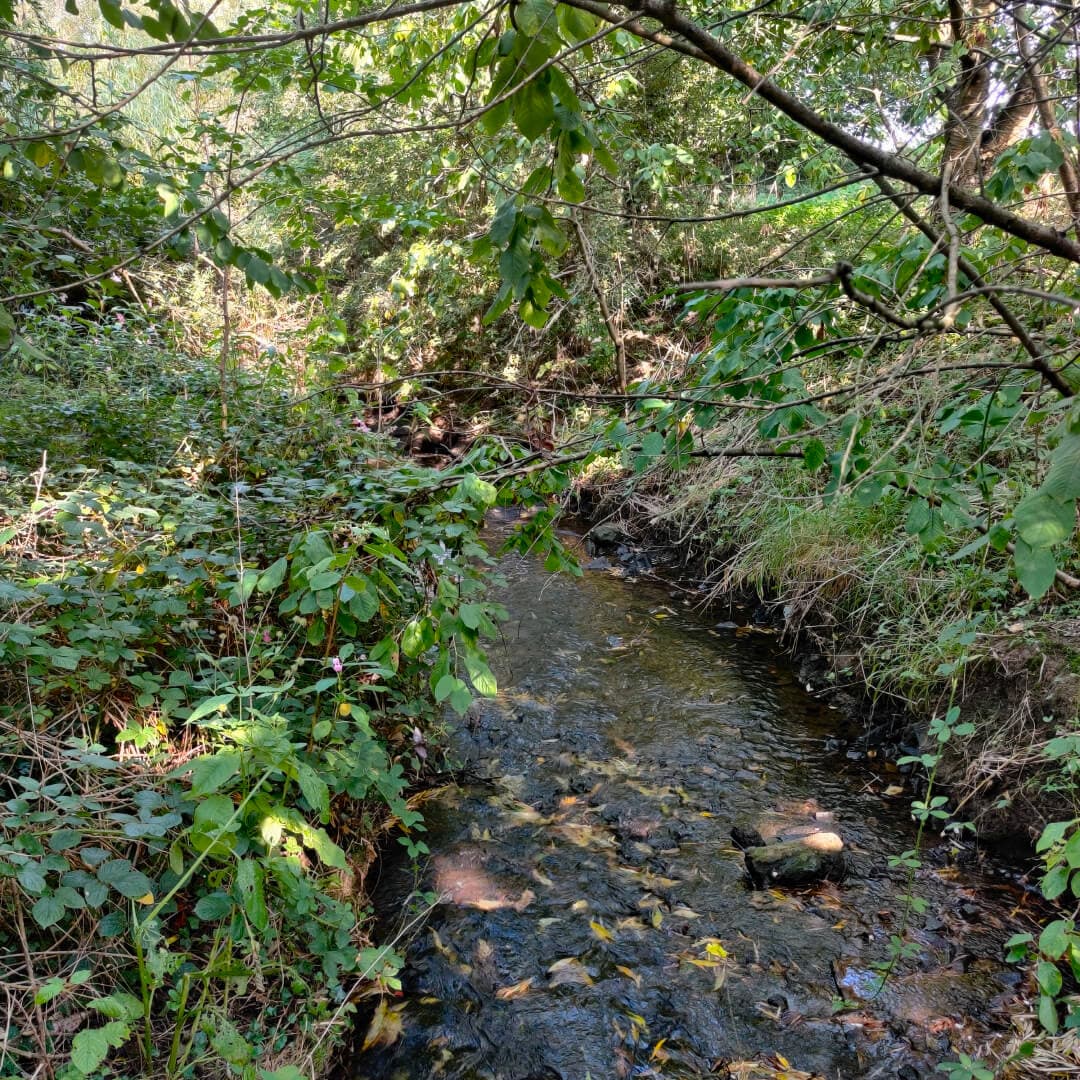 Rothwell Pastures