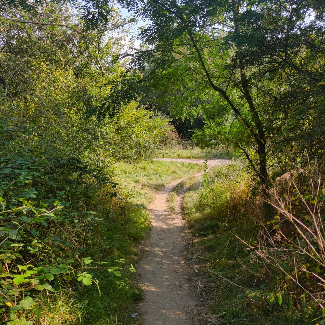 Rothwell Pastures