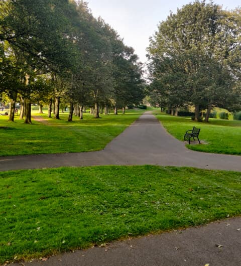 Harehills Park