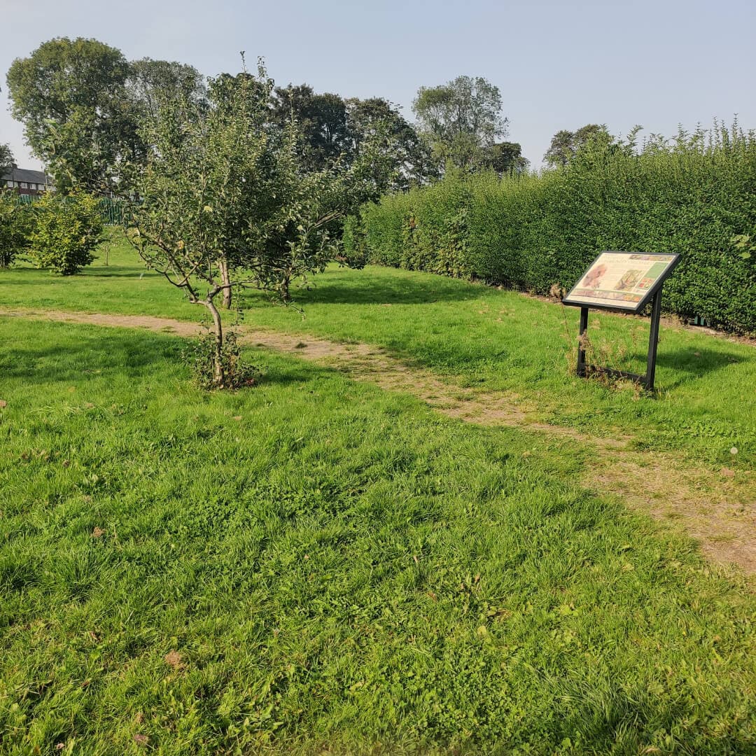 Harehills Park