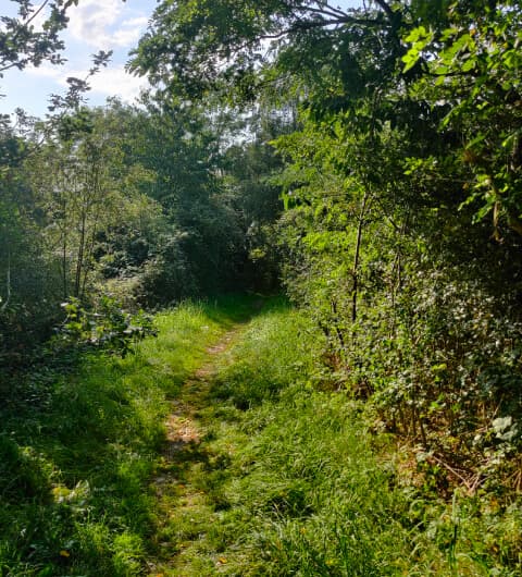Rothwell Pastures