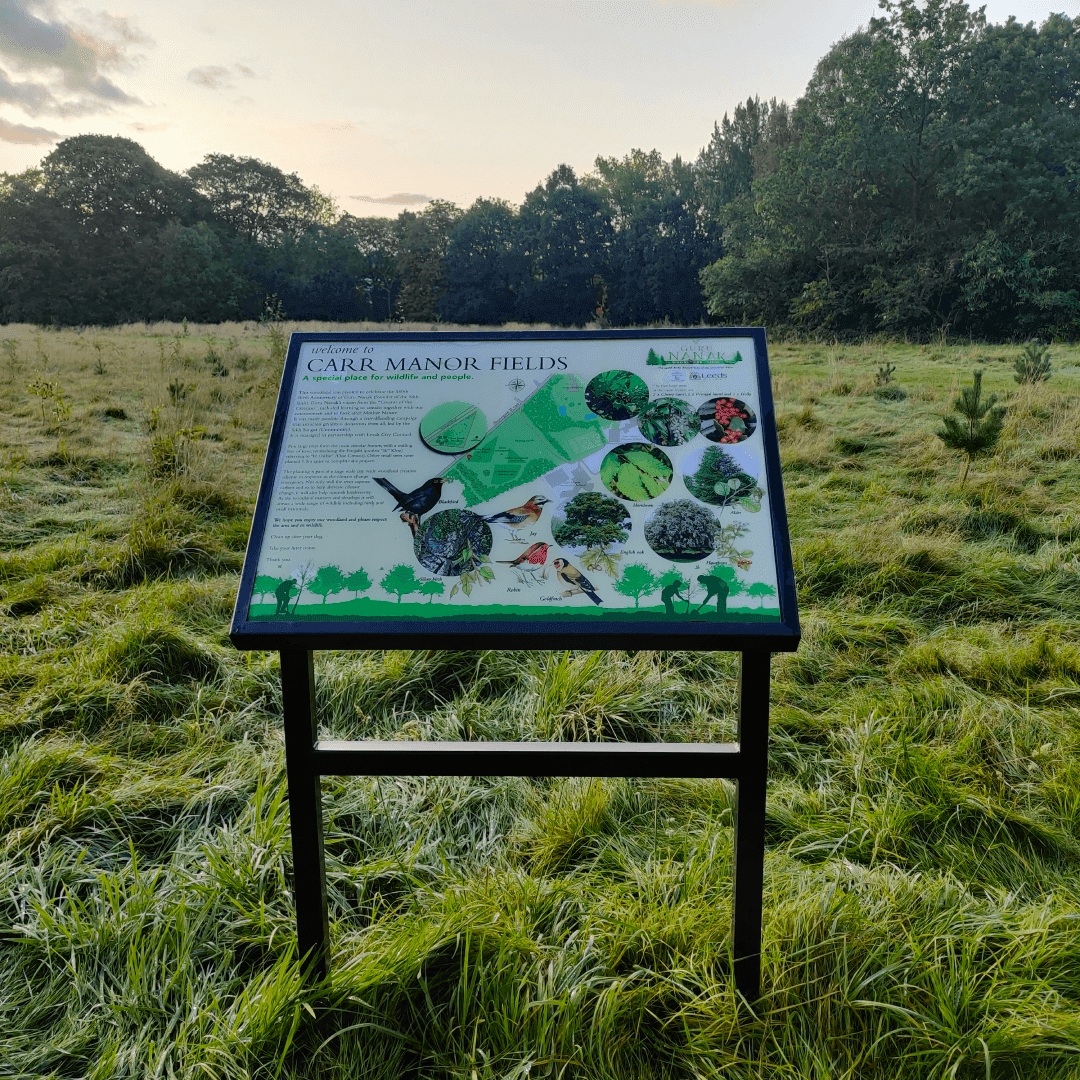Carr Manor Fields Playground