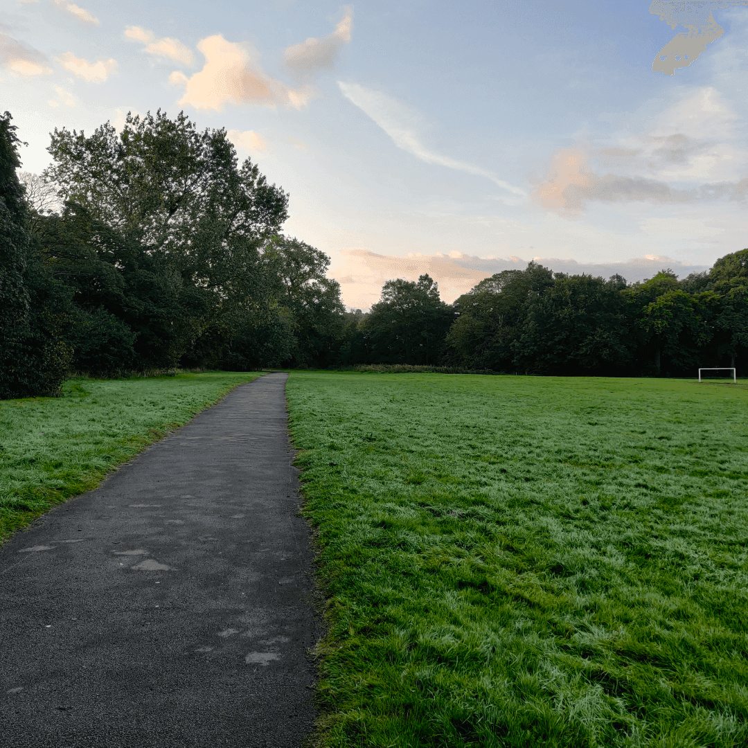Carr Manor Fields Playground
