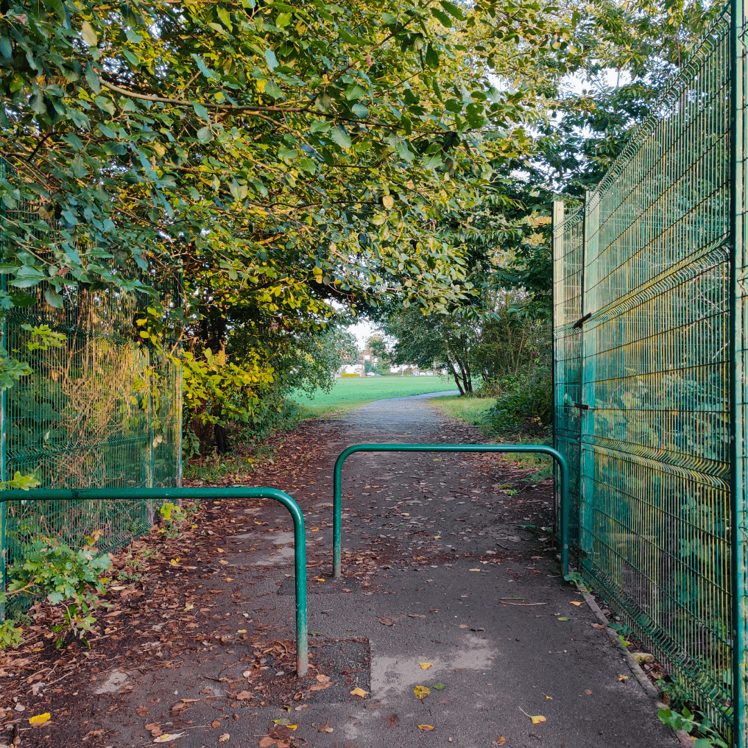 Carr Manor Fields Playground