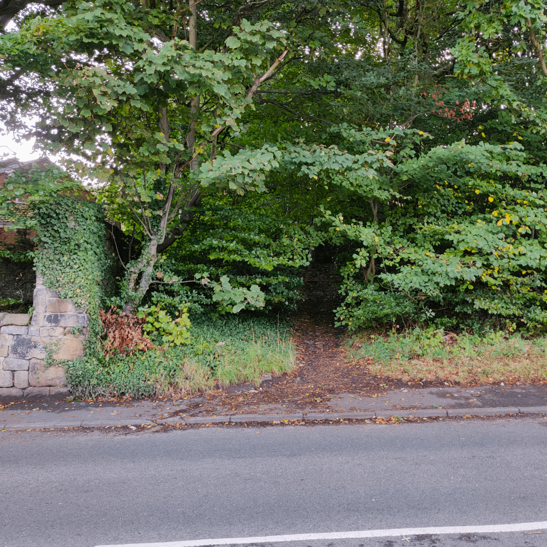 Ridge Plantation Meanwood