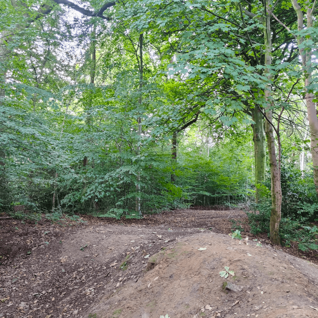Ridge Plantation Meanwood