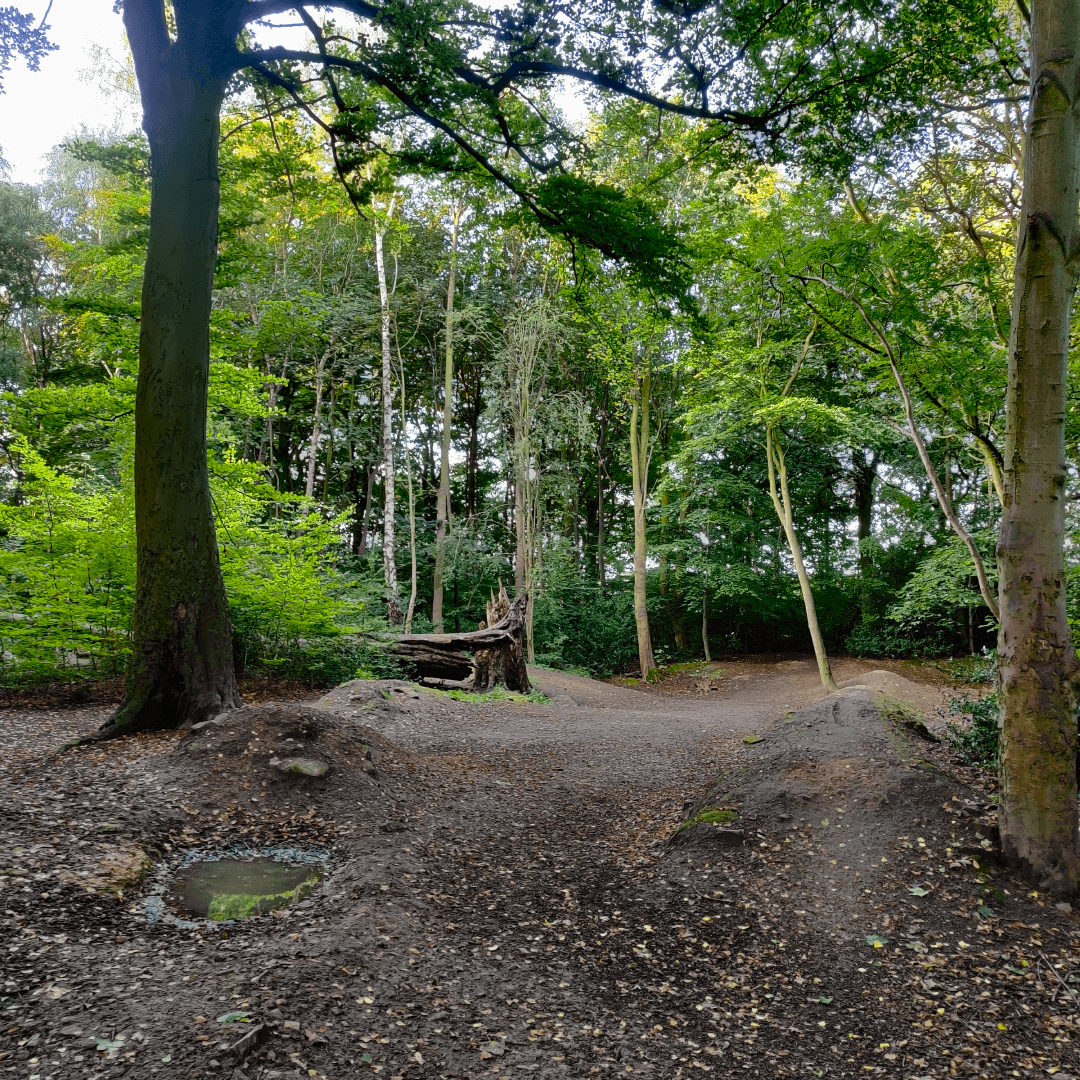 Ridge Plantation Meanwood
