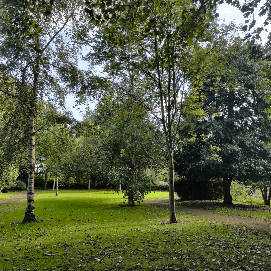 Scarth Gardens