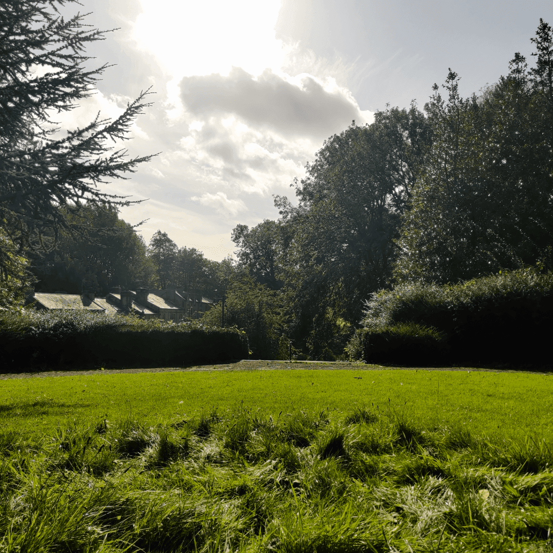 Scarth Gardens