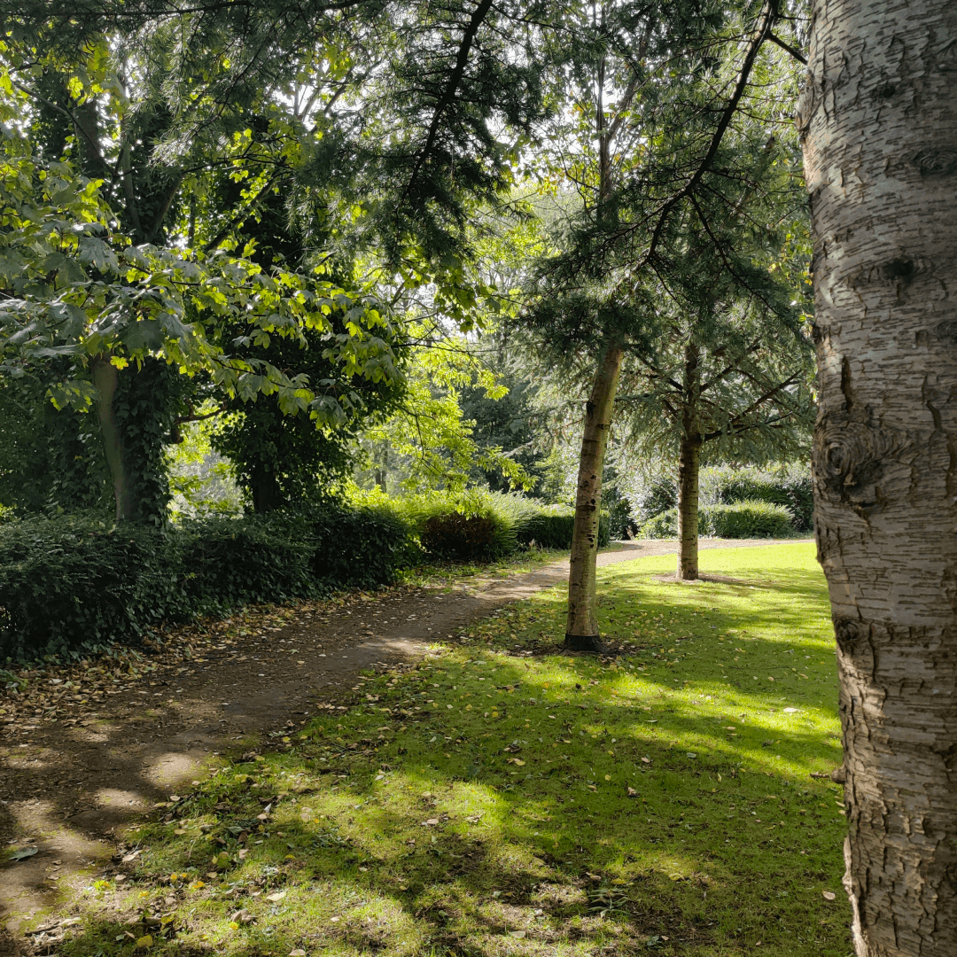 Scarth Gardens