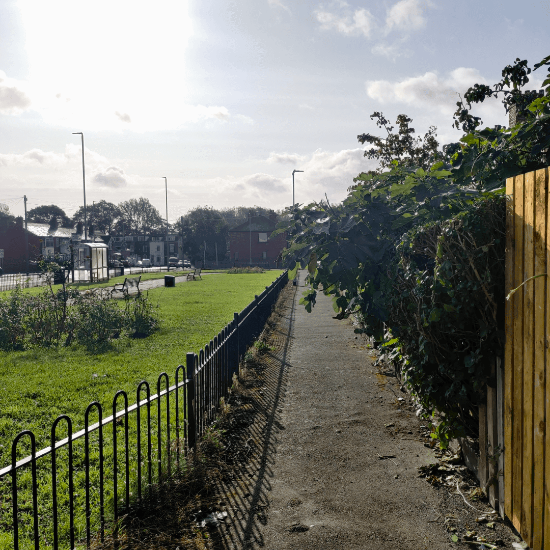 Ivy Street Garden