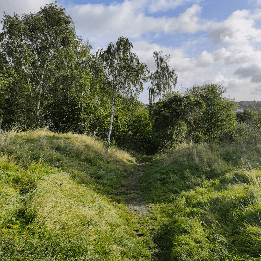 Osmondthorpe Lane Playing Fields