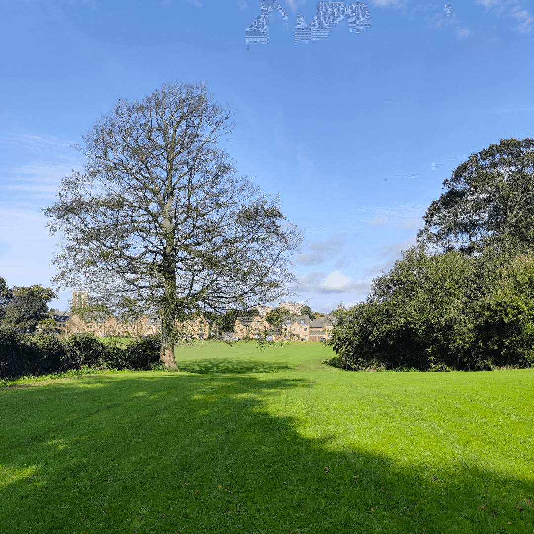 Parklands Fields