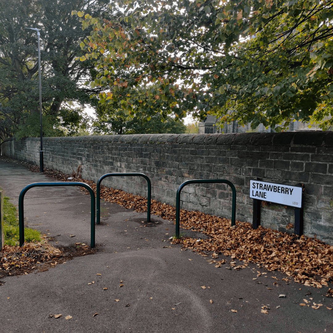 Strawberry Lane
