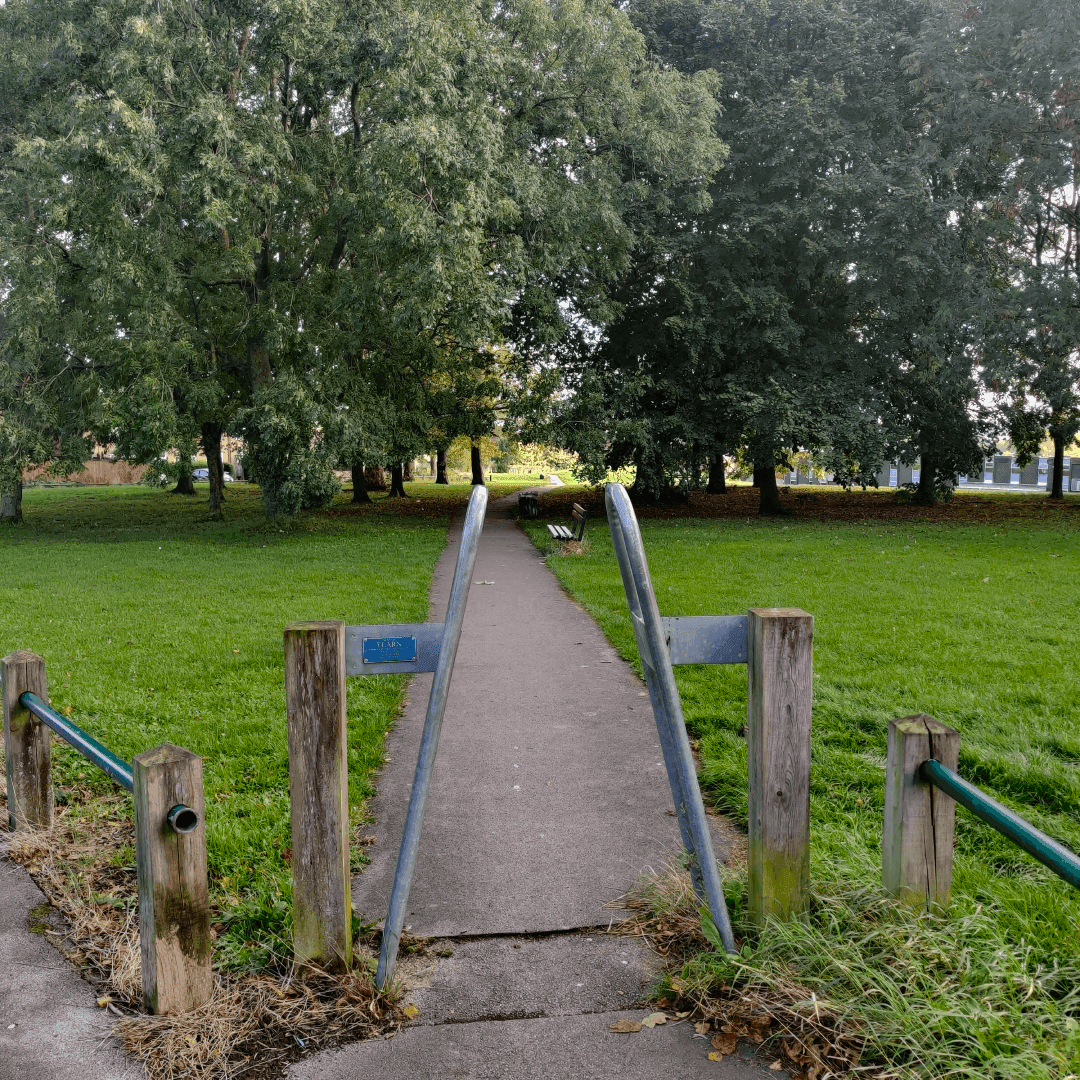 Strawberry Lane