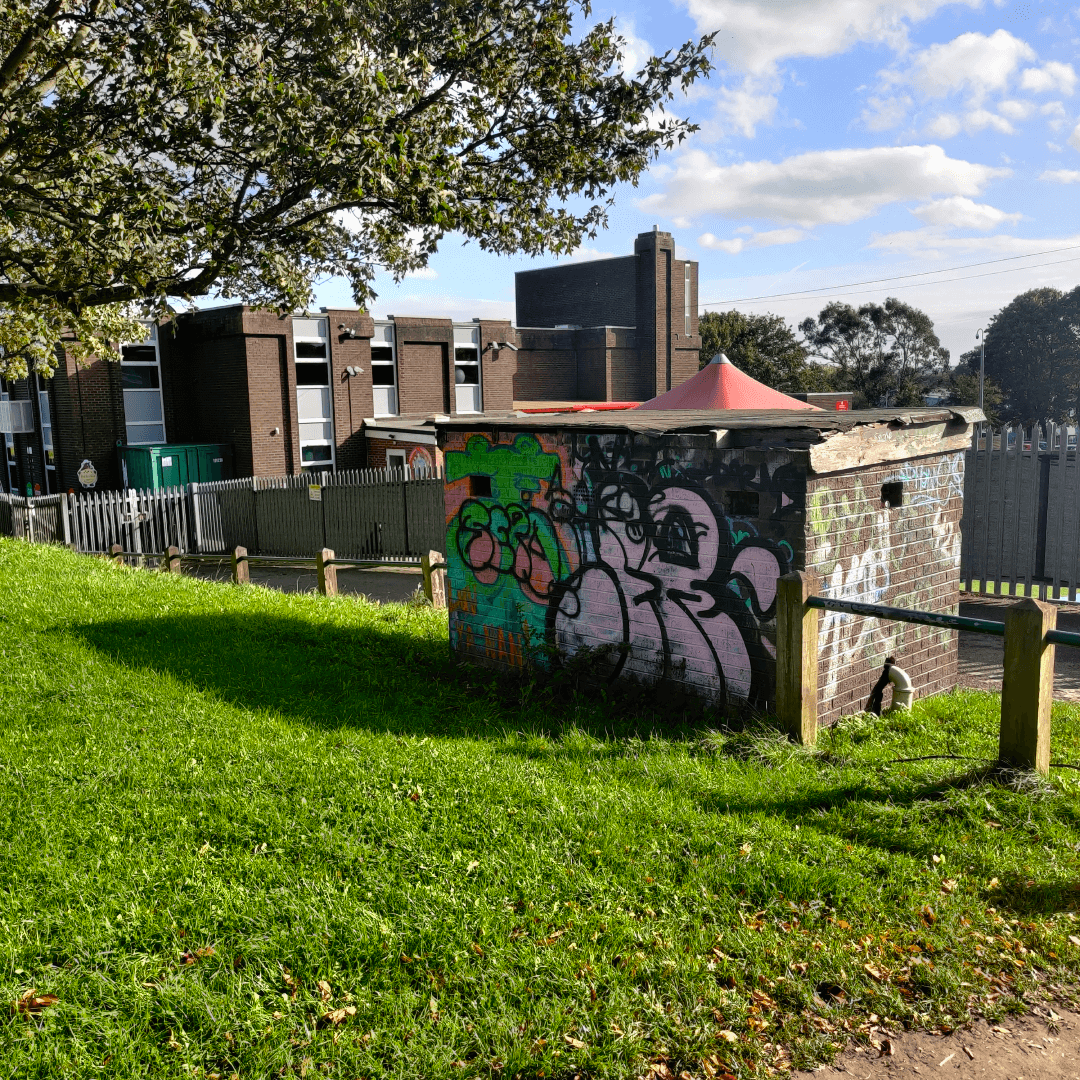 Strawberry Lane