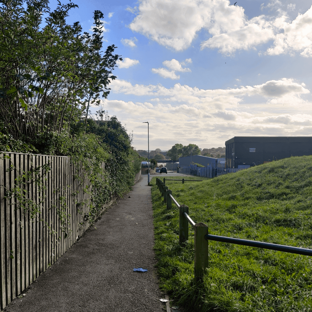 Strawberry Lane