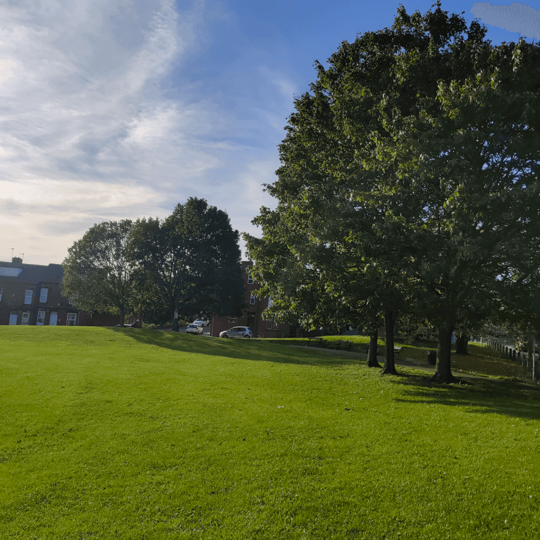 Hartley Avenue Park