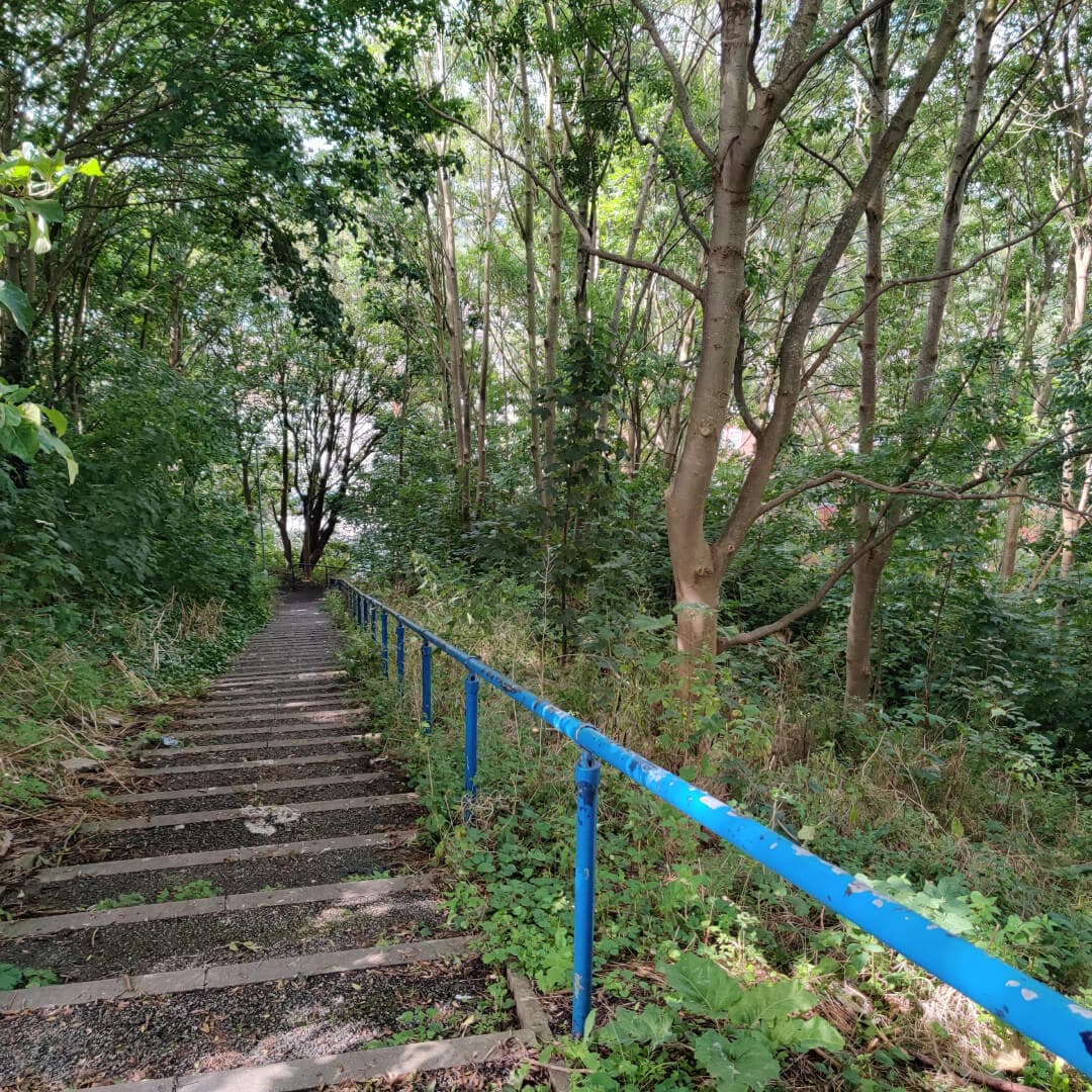 Rosebank Park