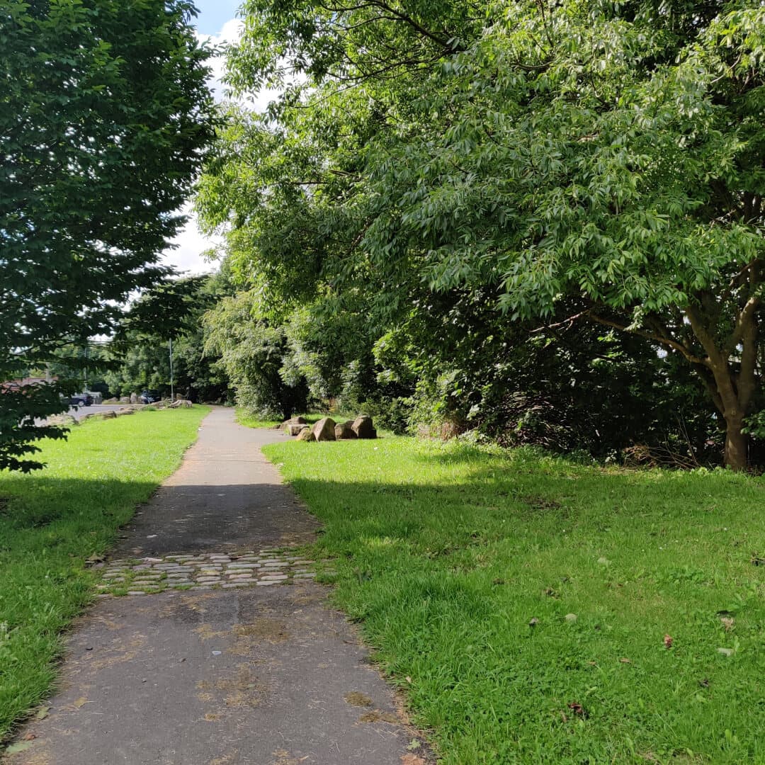 Rosebank Park