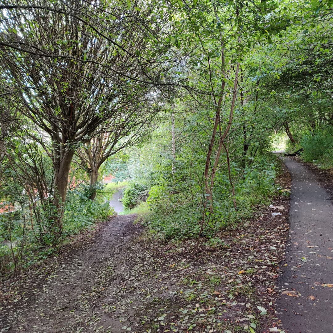 Rosebank Park