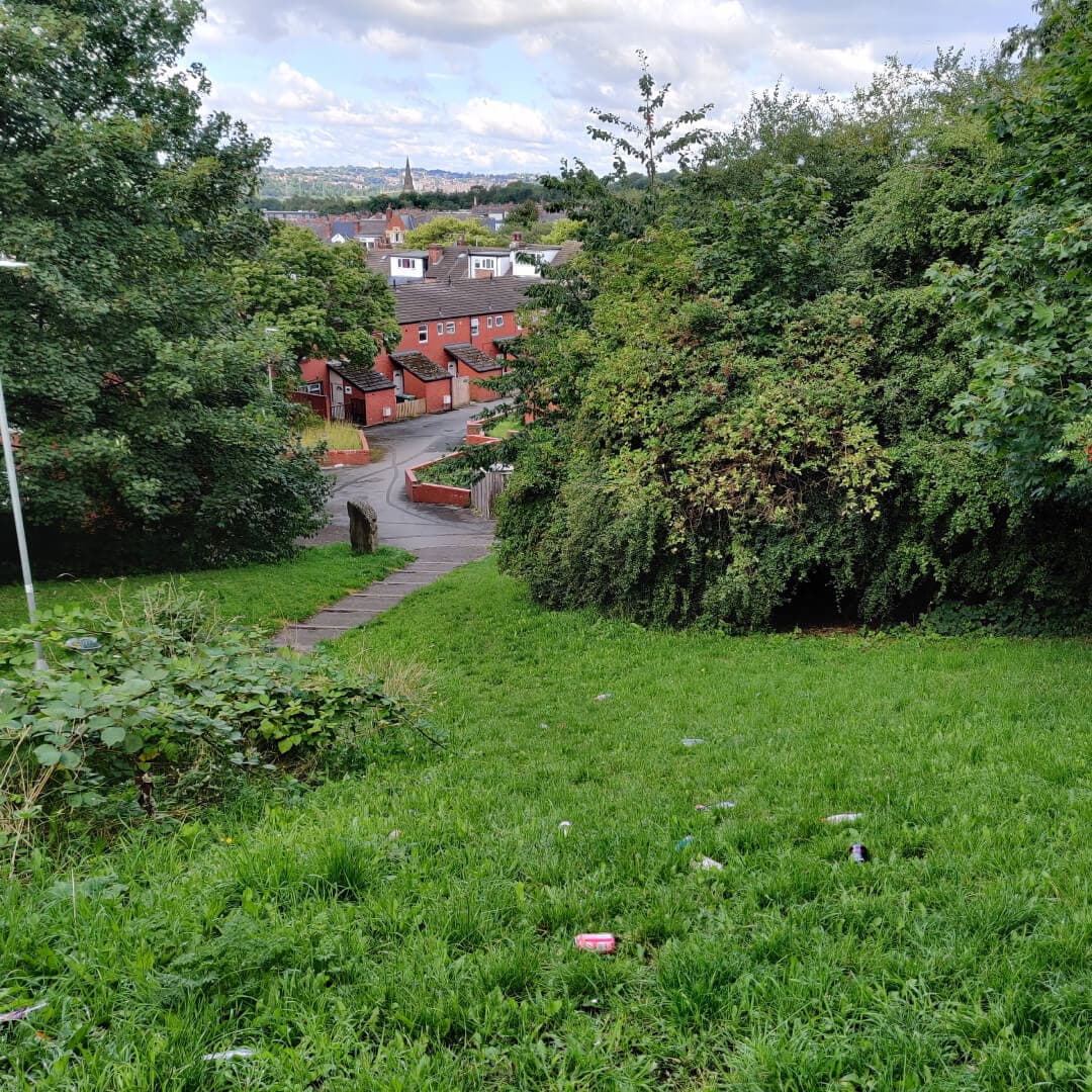 Rosebank Park