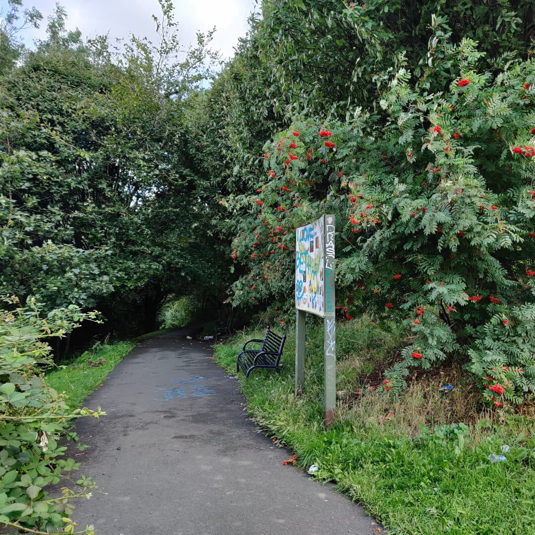 Rosebank Park