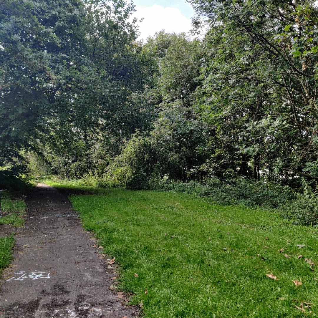 Rosebank Park